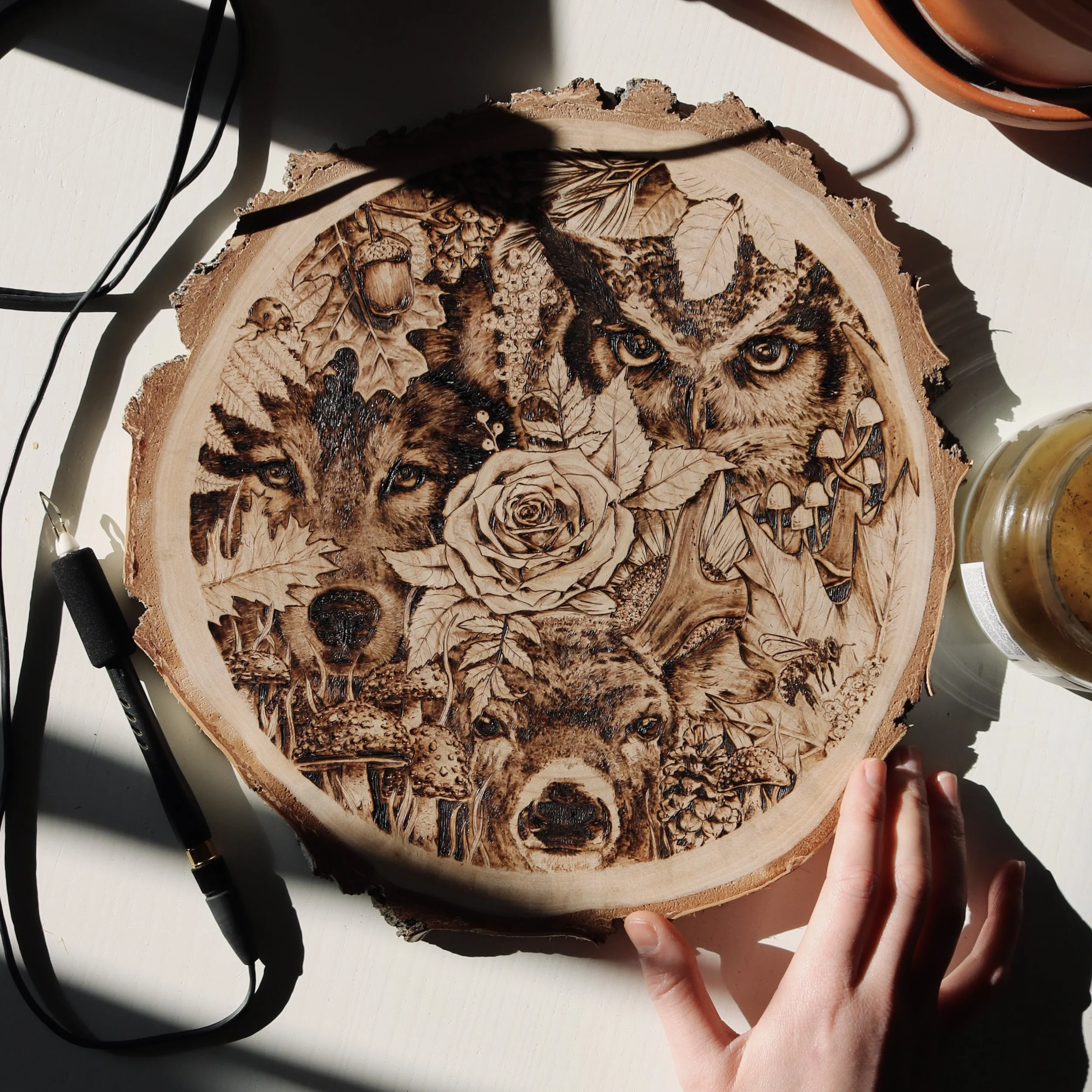 Wood Burning アート/趣味♬ 新品 Mt. Cuba Center | Woodburning Art: Wildflowers - Mt. Cuba Center